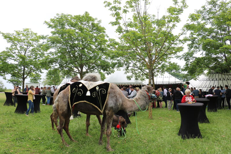 Organisation événementielle au futuroscope
