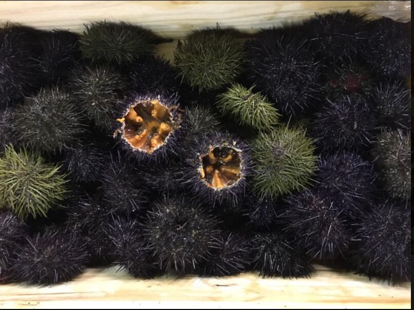 le nostre specialità sempre fresche e deliziose