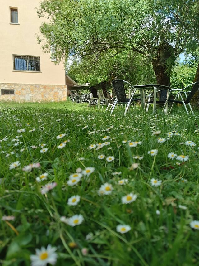 Jardín de la terraza, aquí pueden sentarse a comer rodeados de plena naturaleza. También pueden venir con sus mascotas.