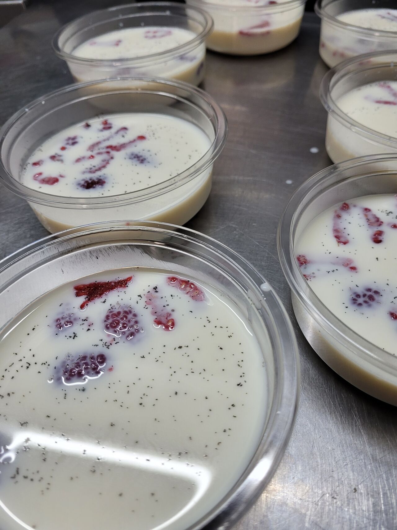 Panna cotta