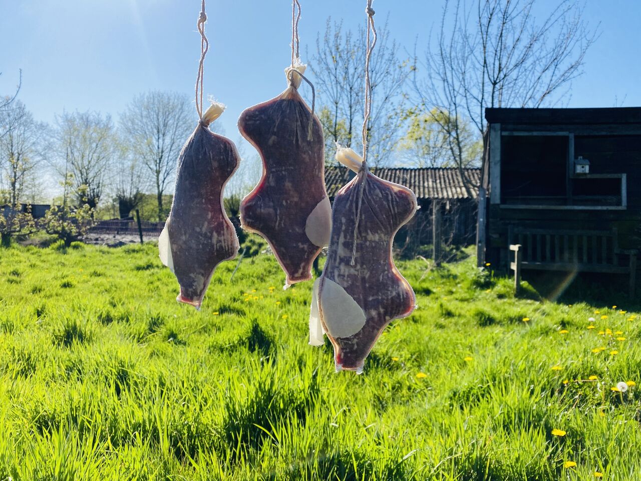 Droge worst in de vorm van een 'varkentje'