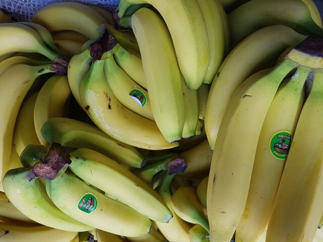 Banane cat2 bio Saint Dominique
