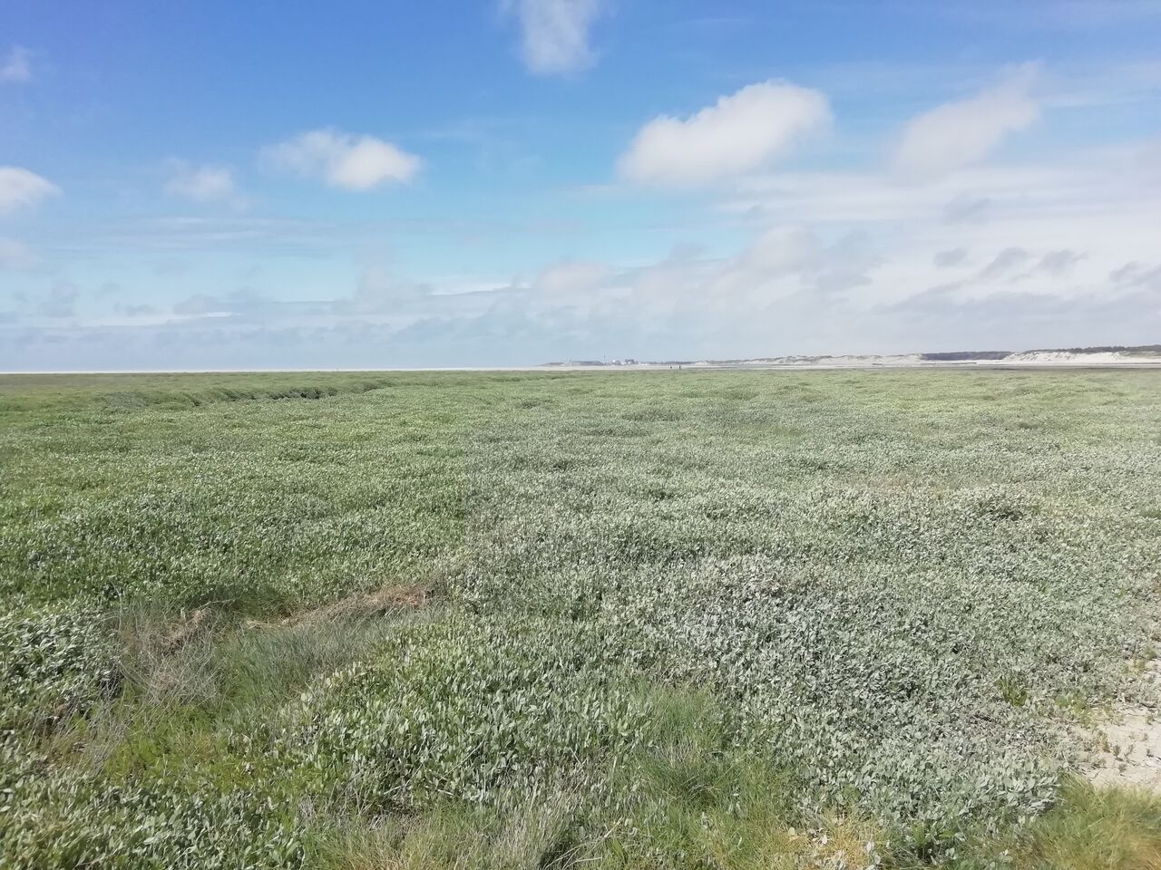Baie d'Authie à 400 mètres des chambres