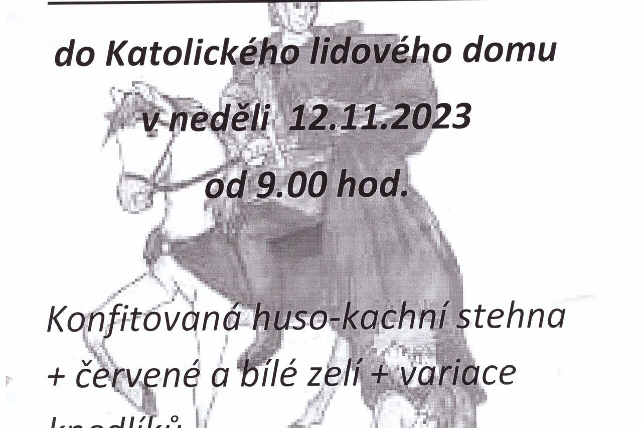 Svatomartinská huso-kačena