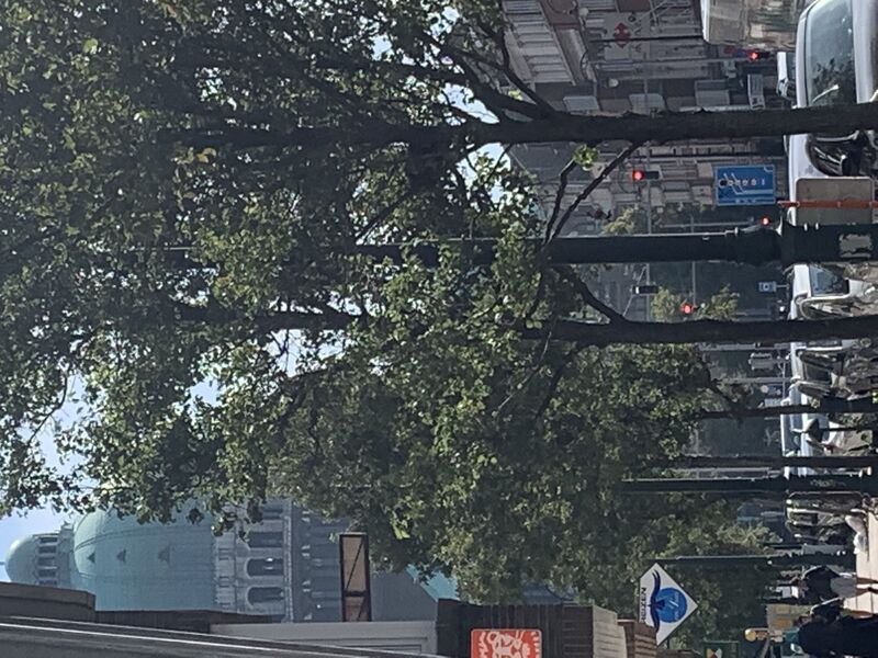 Vu sur la Basilique de Koekelberg 