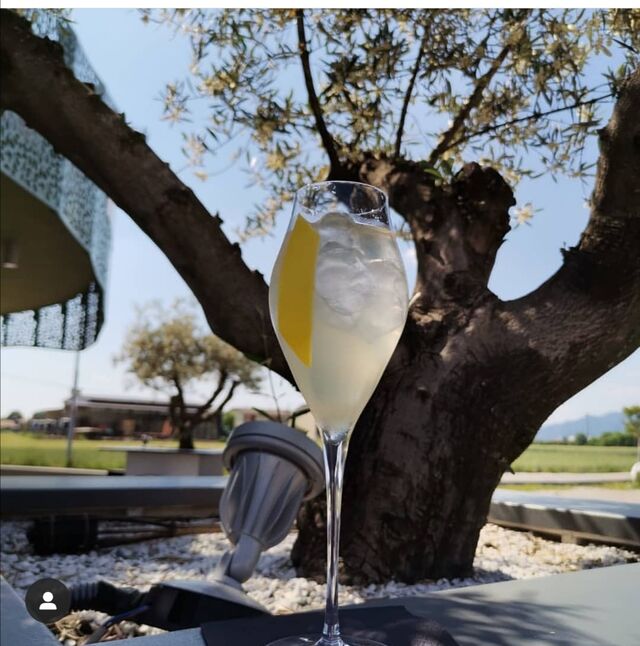  EDEN
Un ottimo aperitivo fresco e
dissetante 