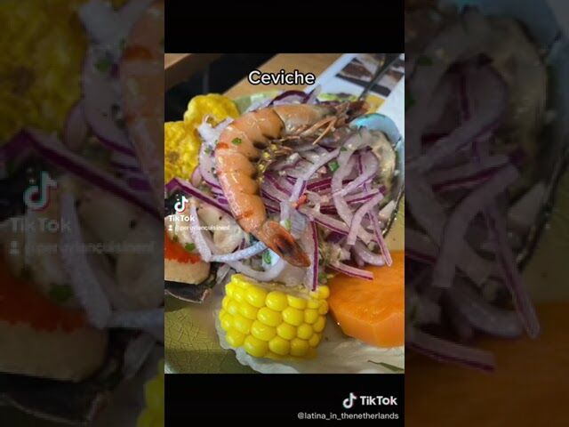 Claudia Latina en Holanda