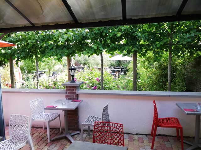 JARDIN vue de la TERRASSE