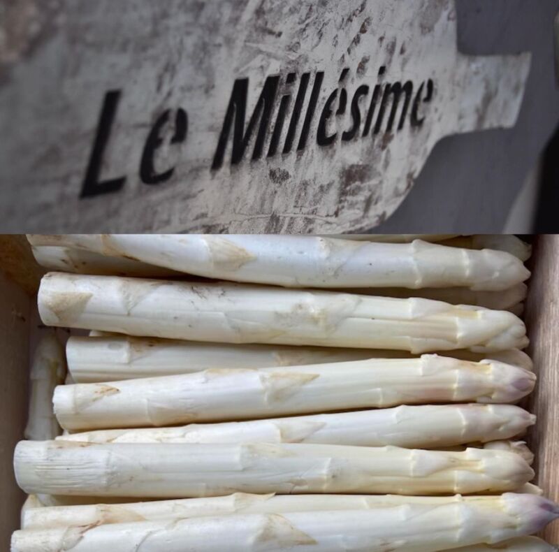 Asperges du Blayais