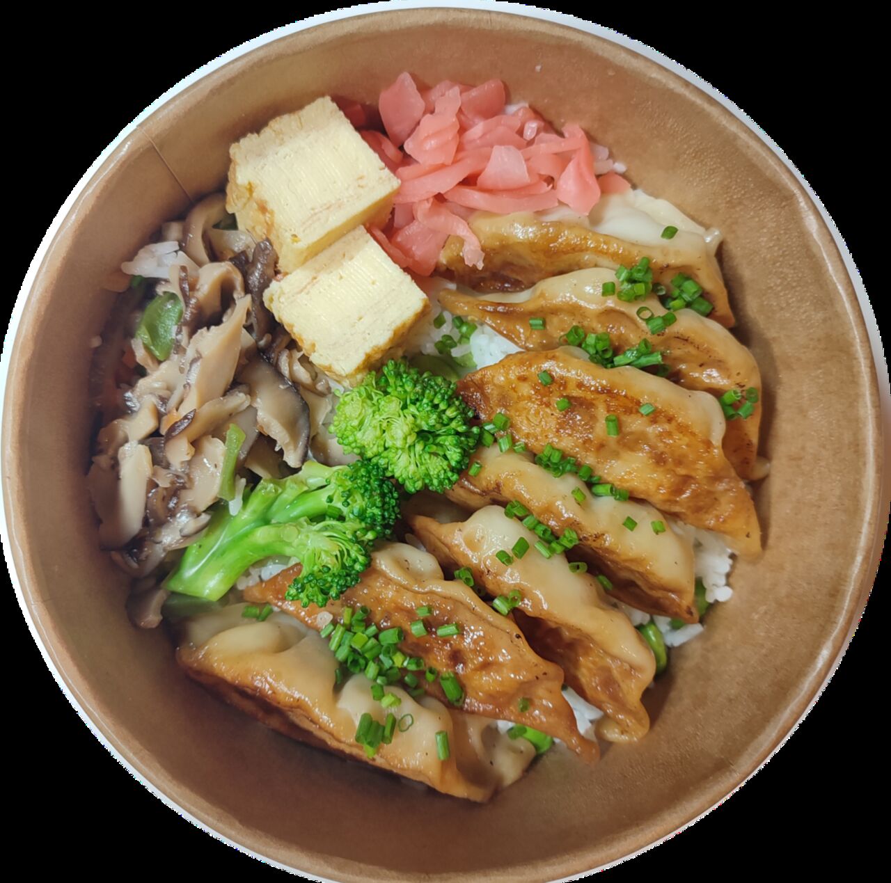 Bento gyoza poulet 