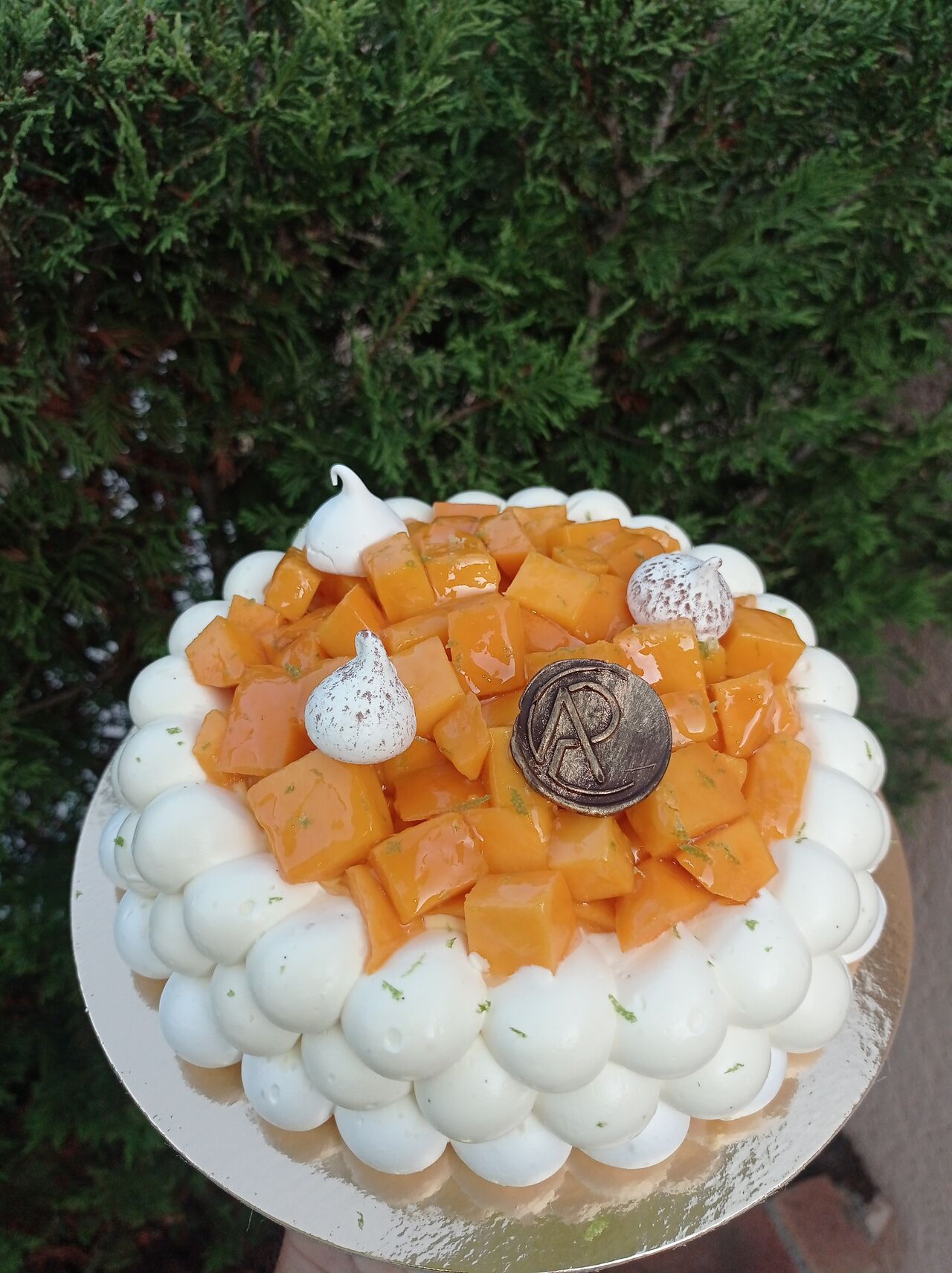 Pavlova mangue / passion