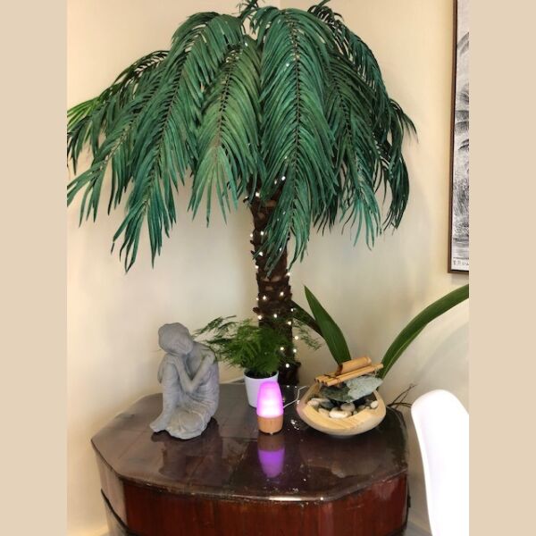 Sous les palmiers la Plage !