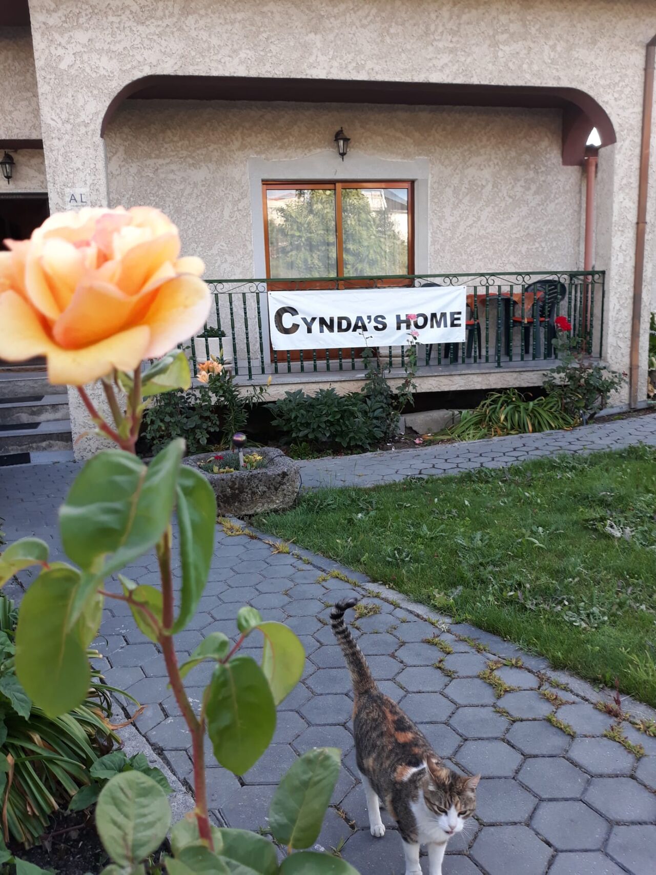Bemvindos a Cynda´s home