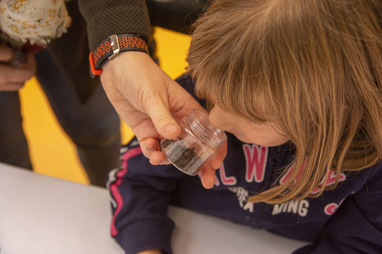 Taller de los aromas en La Galería del Jerez