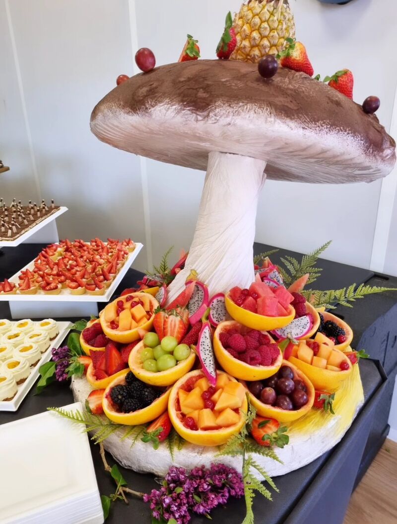 Champignons à fruits