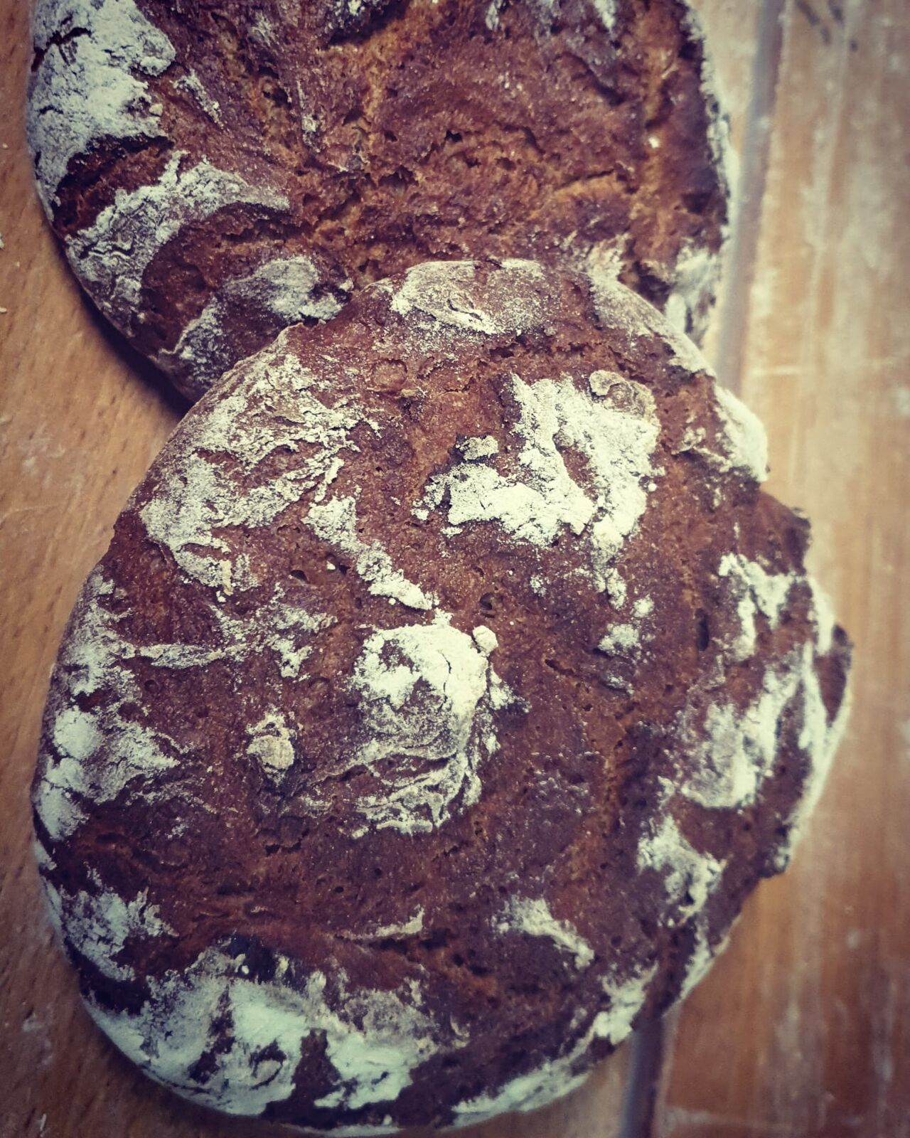 La Tourte au Seigle Forézien ou Tourte Auvergnate : du Seigle LOCAL et un Savoir Faire presque Disparu... A TESTER !! 