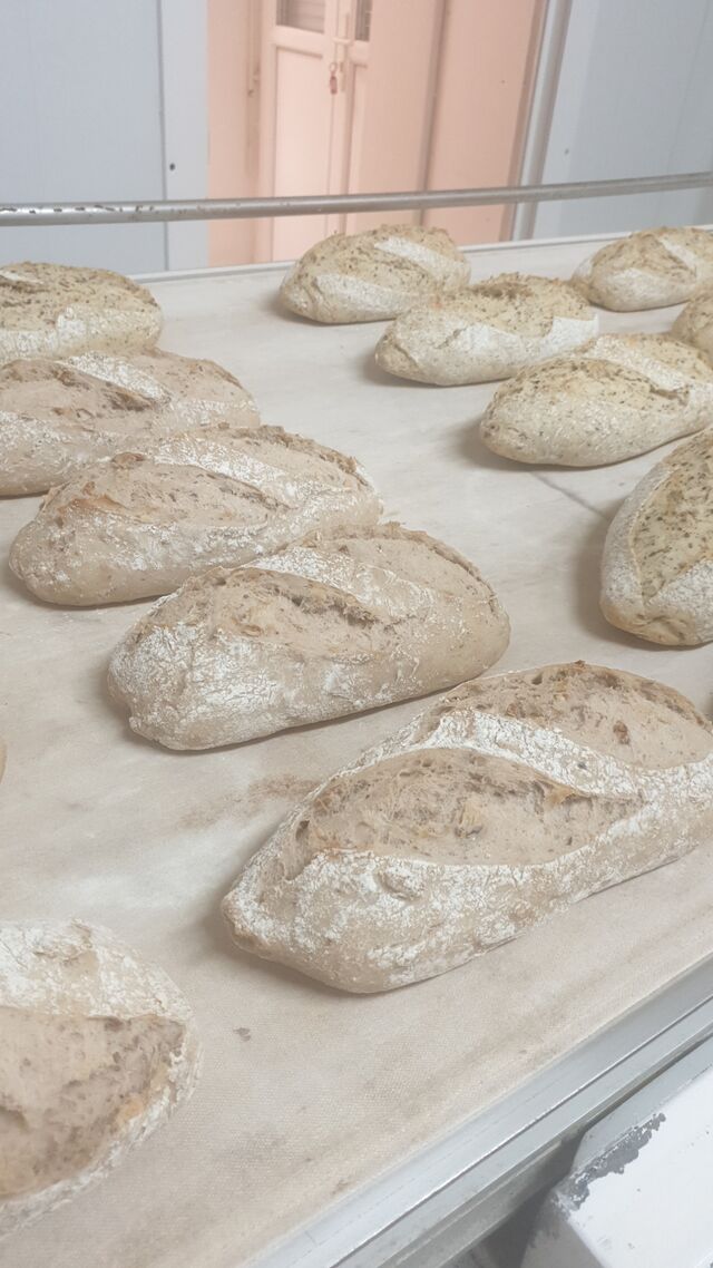Ici a l'entrée du four les Pains aux Noix et aux Graines !