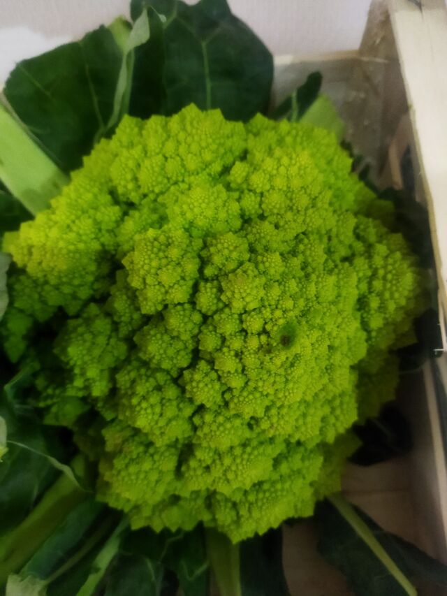 Choux romanesco 2€ pce