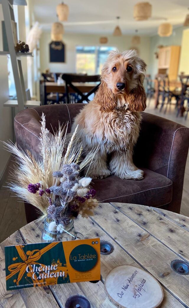 LES CHEQUES CADEAUX SONT ARRIVES