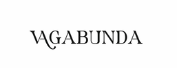 lavagabunda.es favicon
