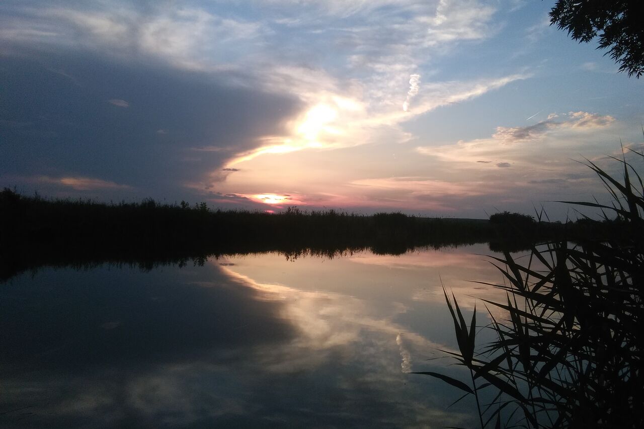 A félhalmi-holtágrendszer