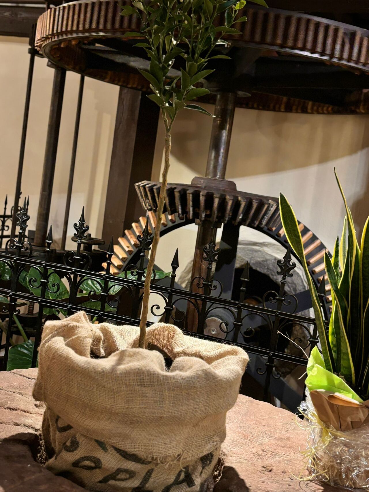 Ristorante Hammermühle