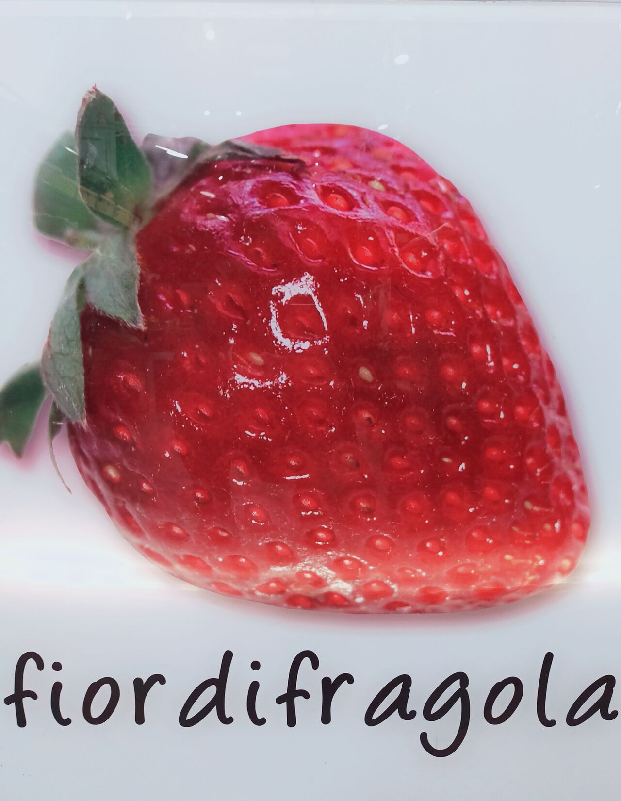 fiodifragola