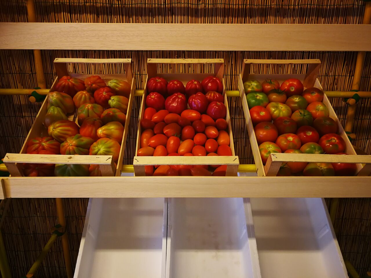 Le nostre varietà di pomodori