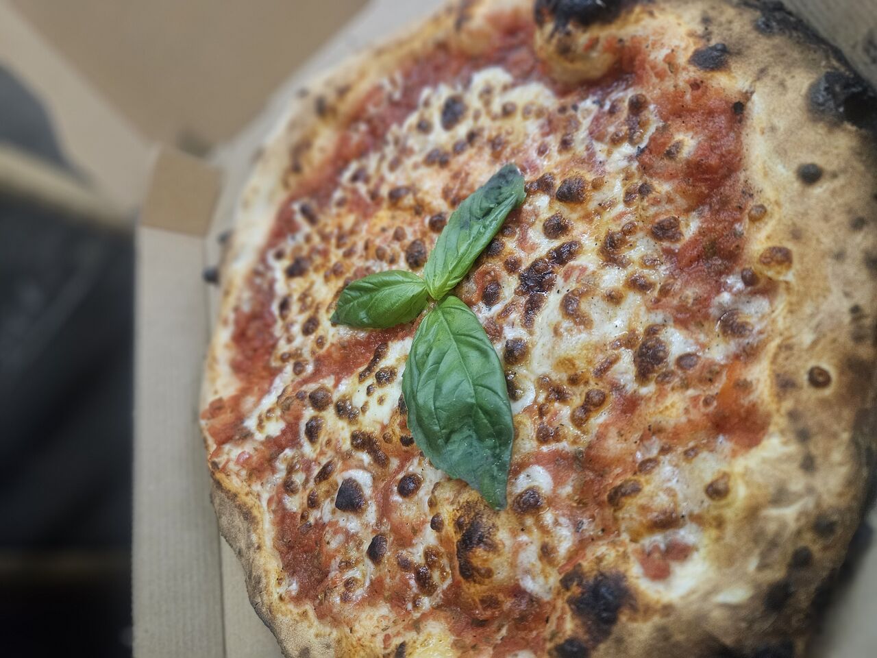 Margherita 
