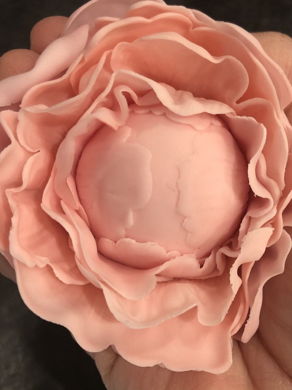 Fleur de pivoine fermée en pâte à sucre .