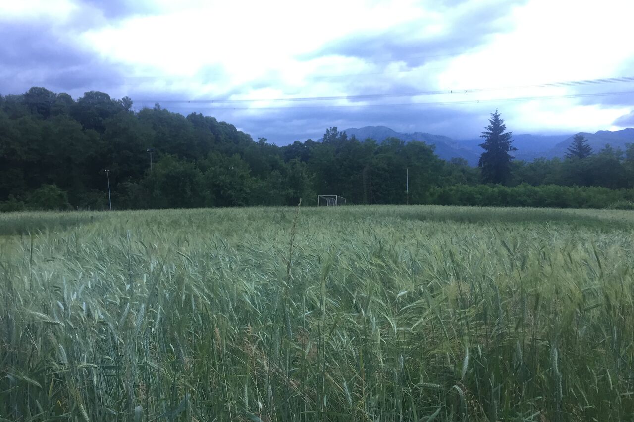 l'origine dei nostri prodotti