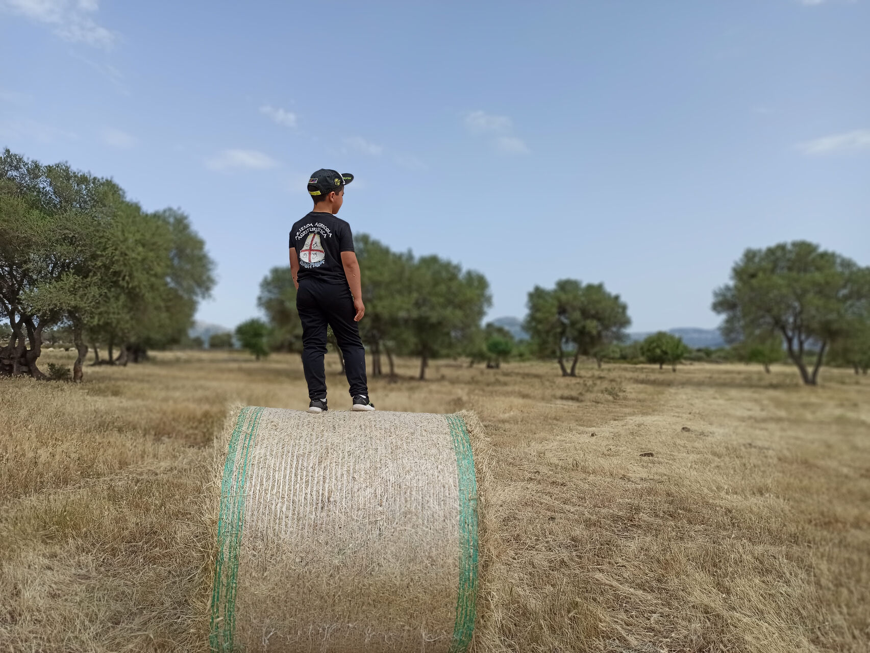 Il territorio