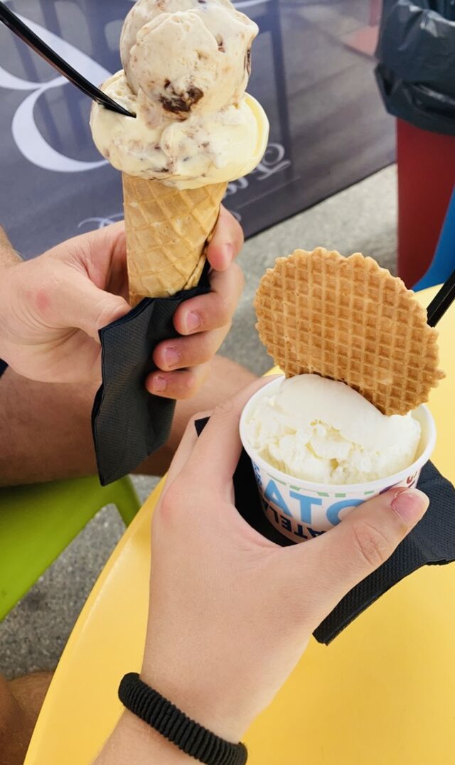 Crème glacées au lait bio