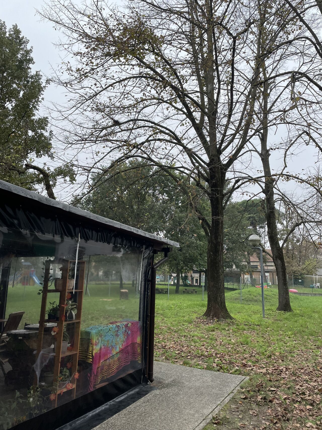 I colori dell autunno