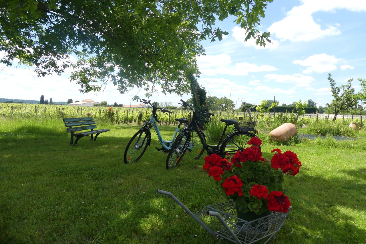 Nos vélos a disposition. (Our bicycles are available).