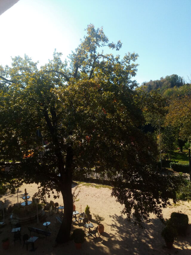 Il nostro spazio aperto, oltre che trovare un comodo parcheggio, vi permetterà di sedervi e parlare tra una portata e l'altra. 