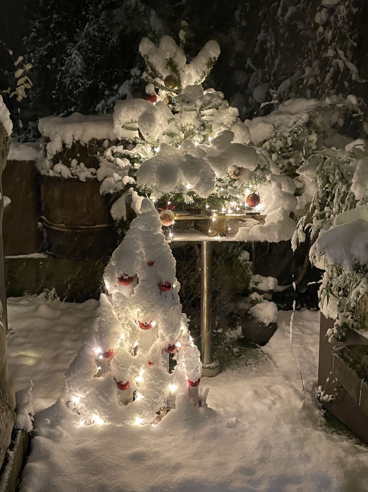 Le jardin du père Noël 