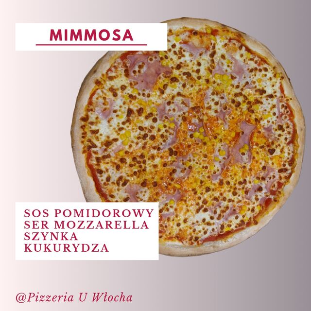 MIMMOSA