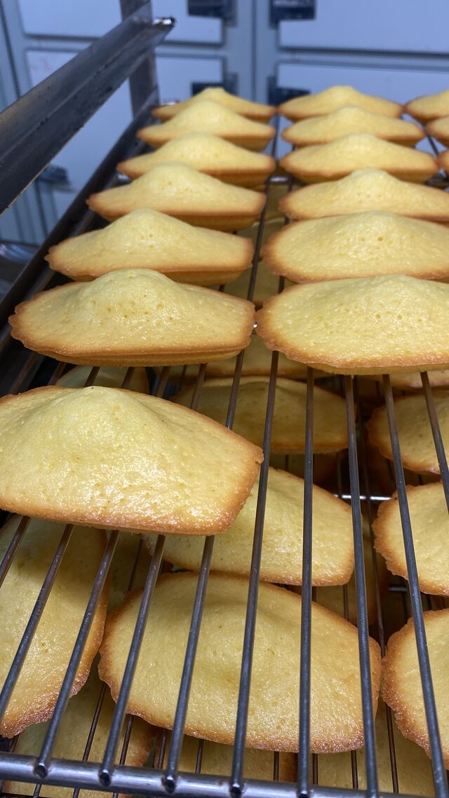 Madeleines