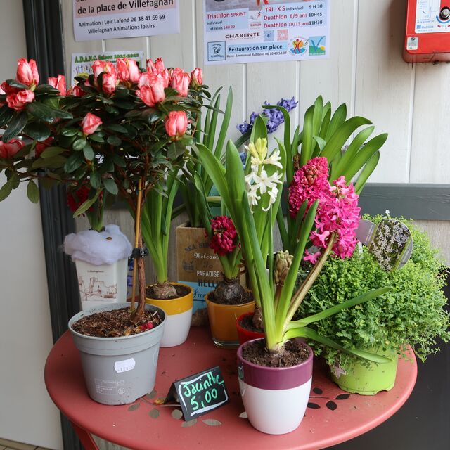 Un petit cadeau ? Une envie de fleurs ? Ô Comptoir de Maud est là !