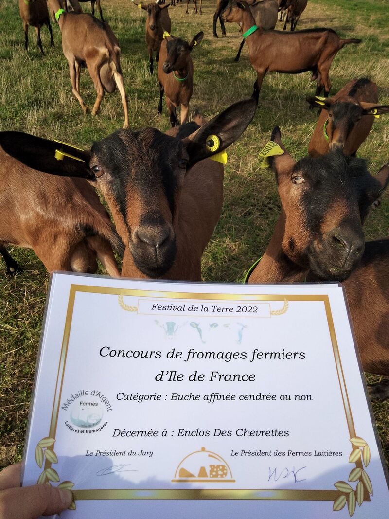 MEDAILLE D'ARGENT POUR LA BUCHE CENDREE ou NON