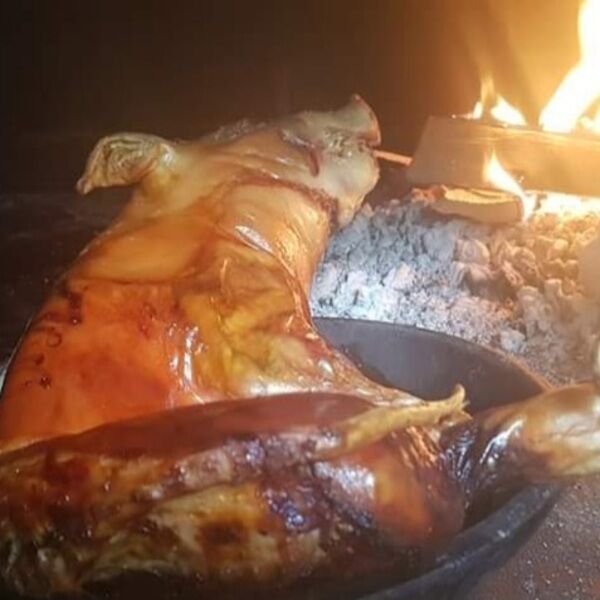 Nuestra especialidad.