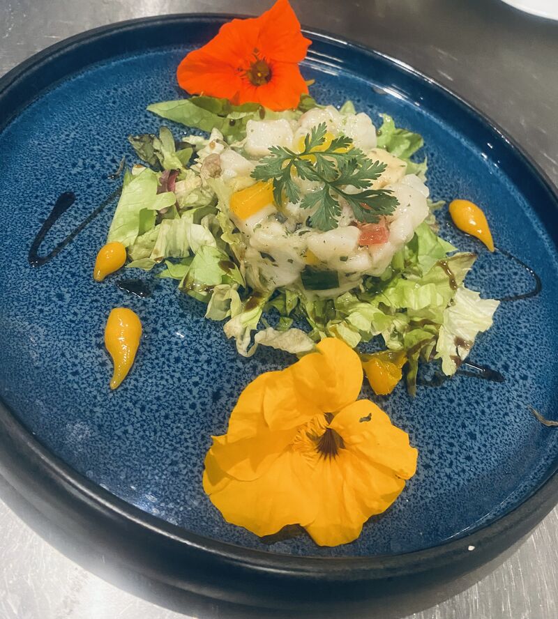 Tartare de st jacque