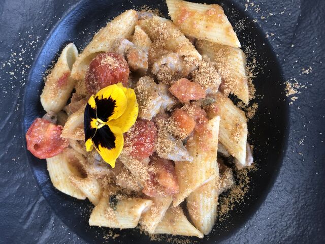 Pennoni al pesce spada alla siciliana 