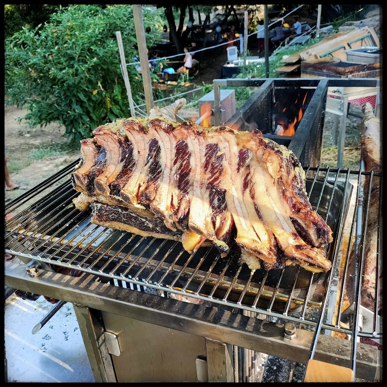 Train de côtes de Taureau à la Broche