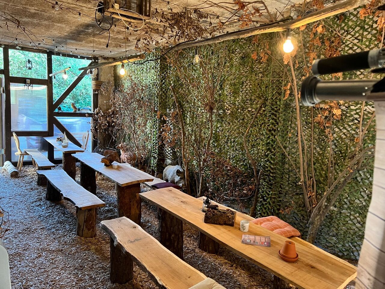 in unserem Wald sitzt man zwischen Reh und Wildschwein 