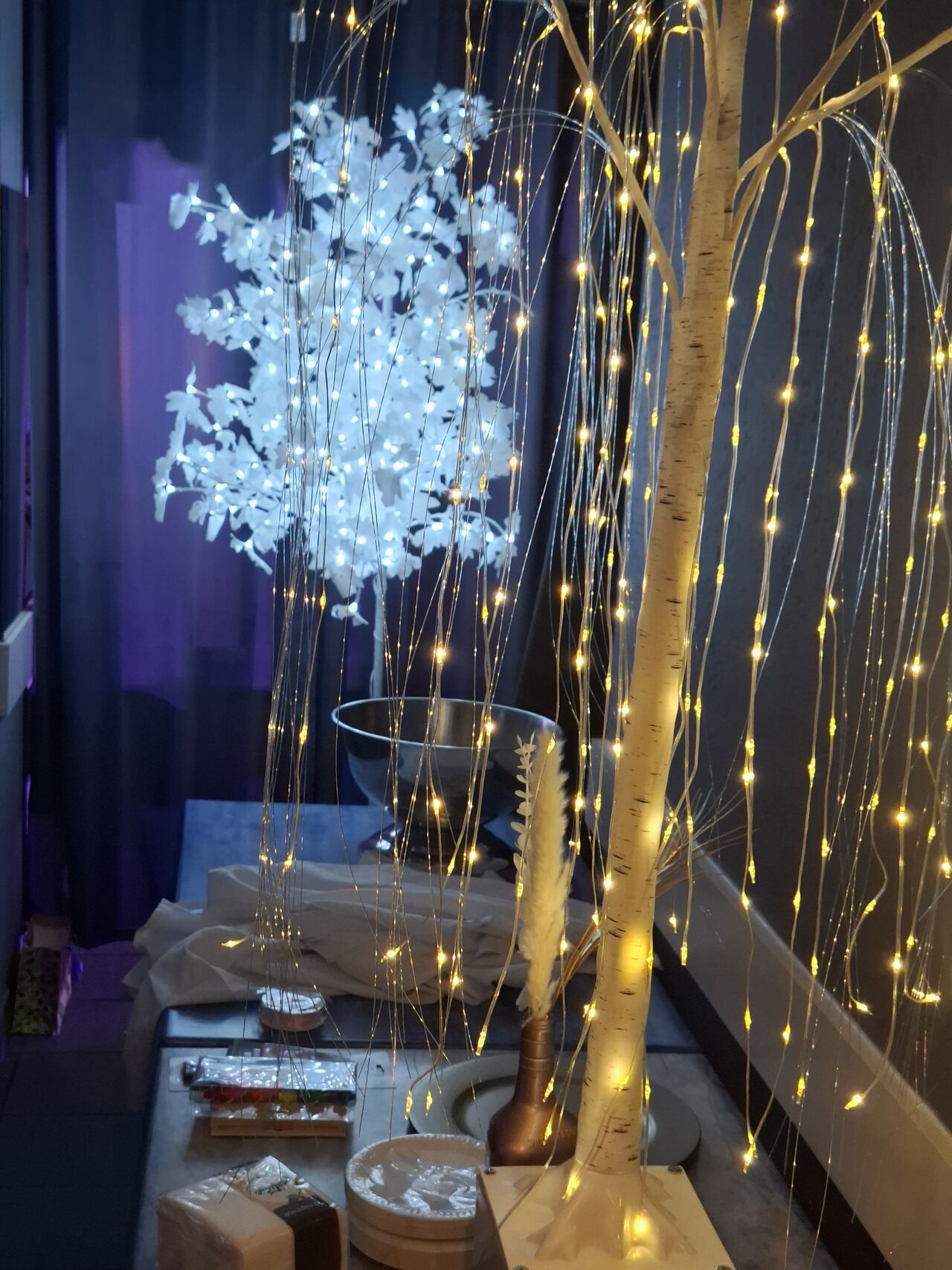 DECOR SALLE DU HAUT