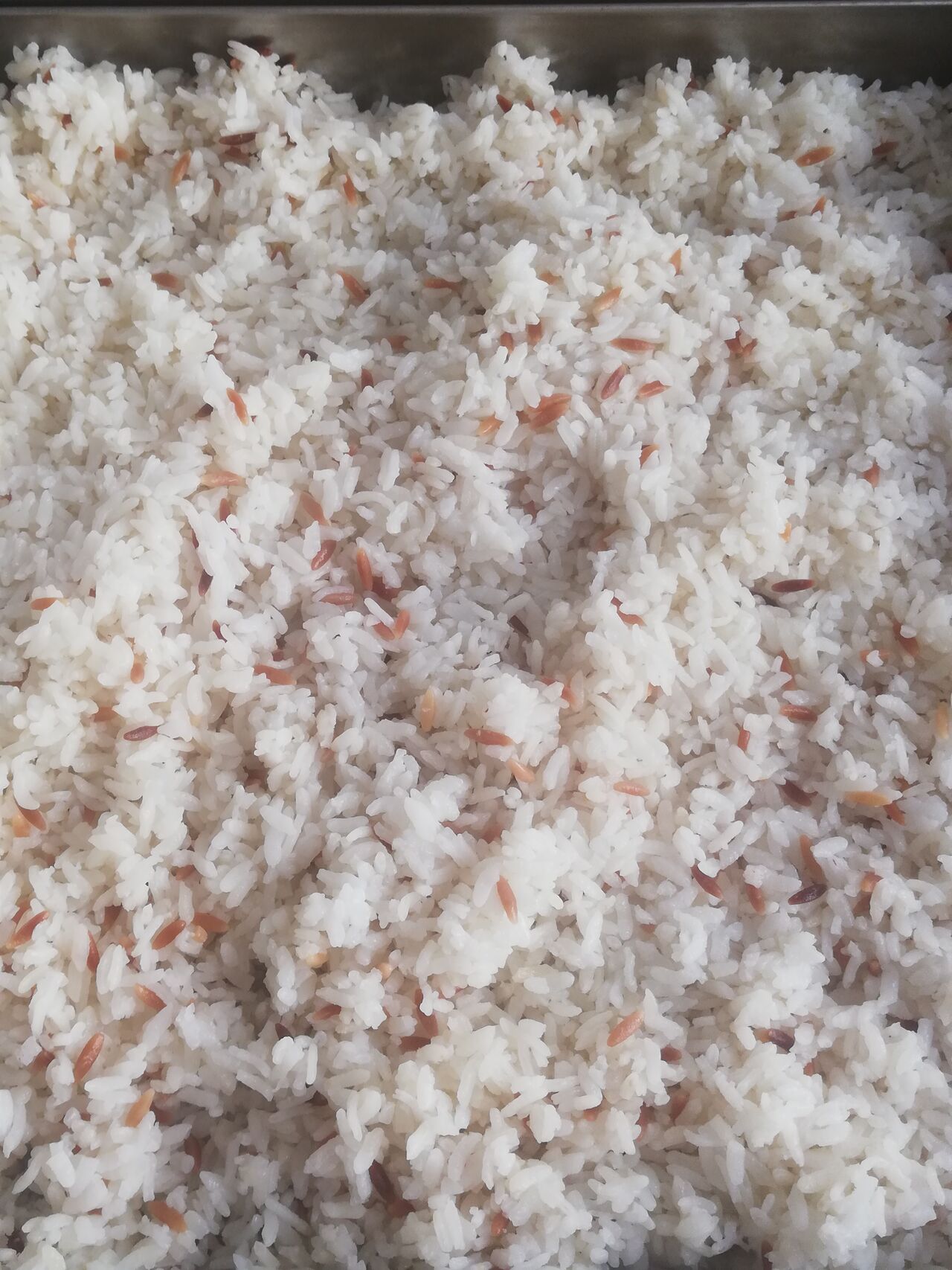 Türkische Reis (Baldo) 