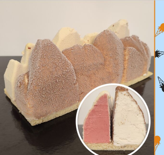 Bûche Arctique - Glace Vanille Pure Gousse, Sorbet Fraise, Biscuit Financier