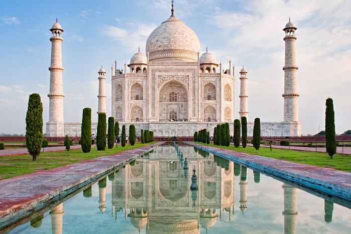 The Great India